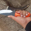 Artisan Forged High Carbon Steel Hunting Knife - Korvel