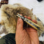Artisan Crafted D2 Steel Folding Pocket Knife - Korvel