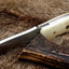 Premium D2 Steel Deer Skinning Knife – 6.5 Inch Compact Design with Bone Grip - Korvel