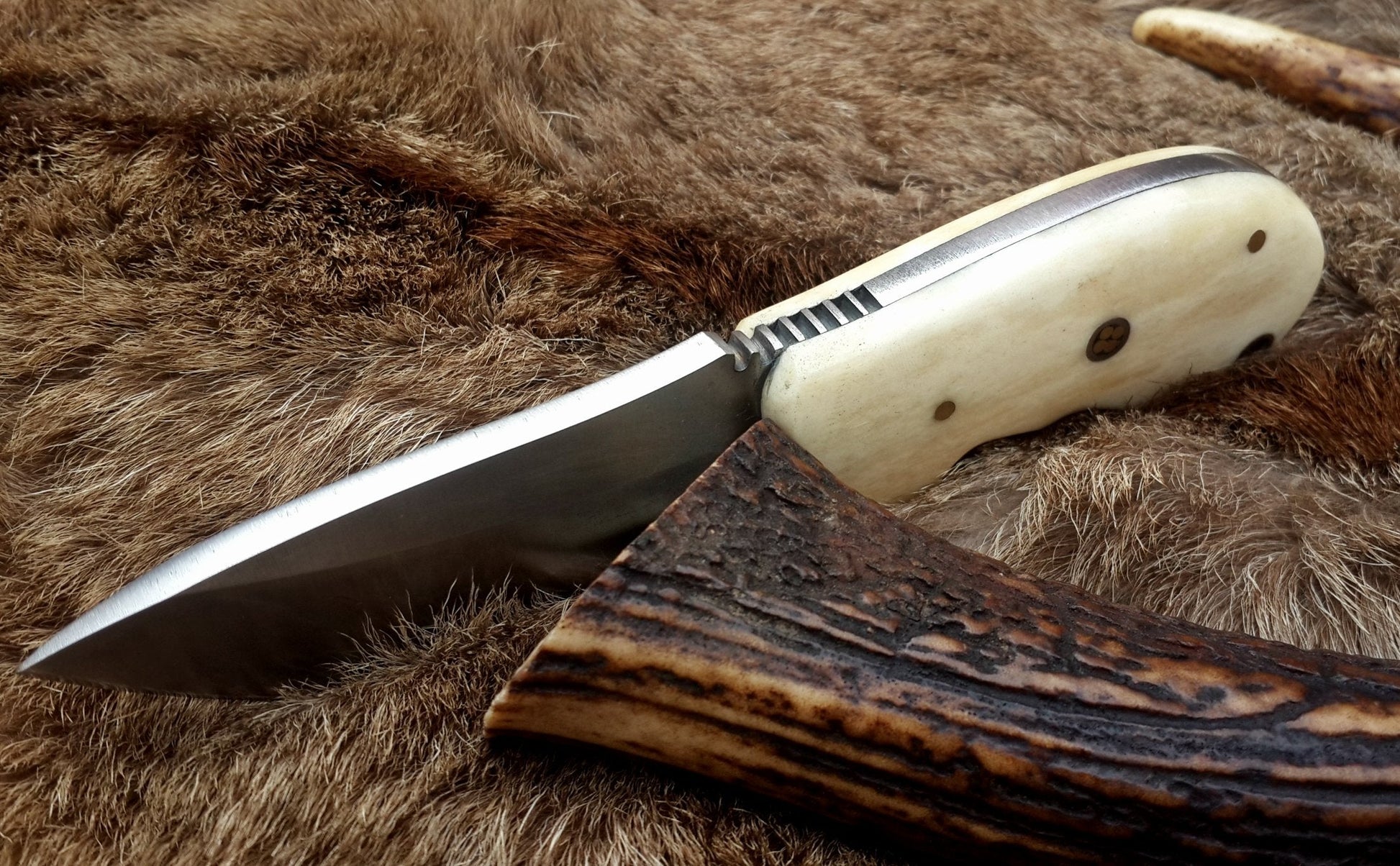 Premium D2 Steel Deer Skinning Knife – 6.5 Inch Compact Design with Bone Grip - Korvel