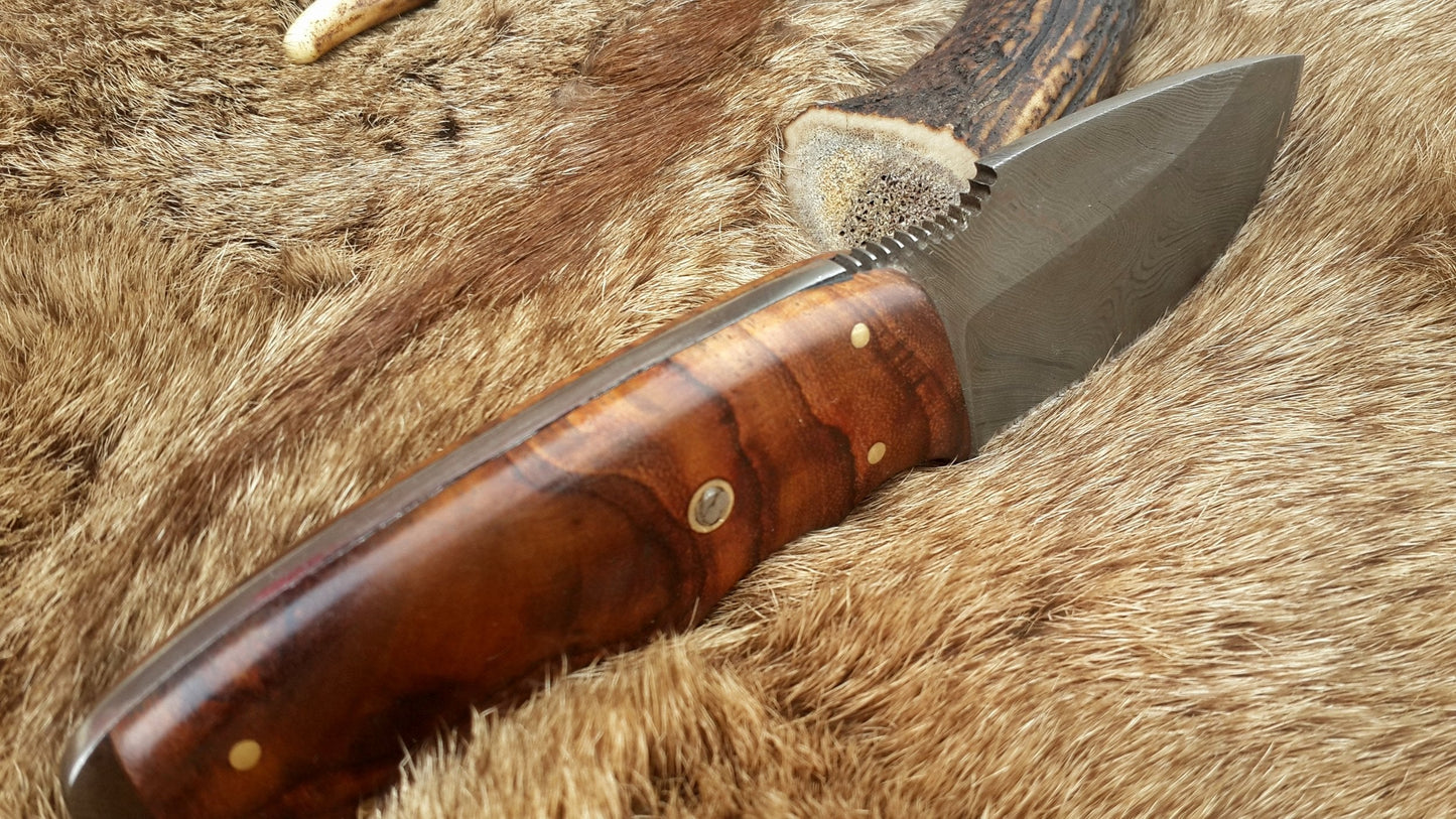 Premium Damascus Steel Skinning Knife with Rosewood Handle - 7.5-inch Precision Tool - Korvel