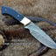 Premium 9-Inch Damascus Steel Hunting Knife with Buffalo Horn Grip | KBS Knives Store - Korvel