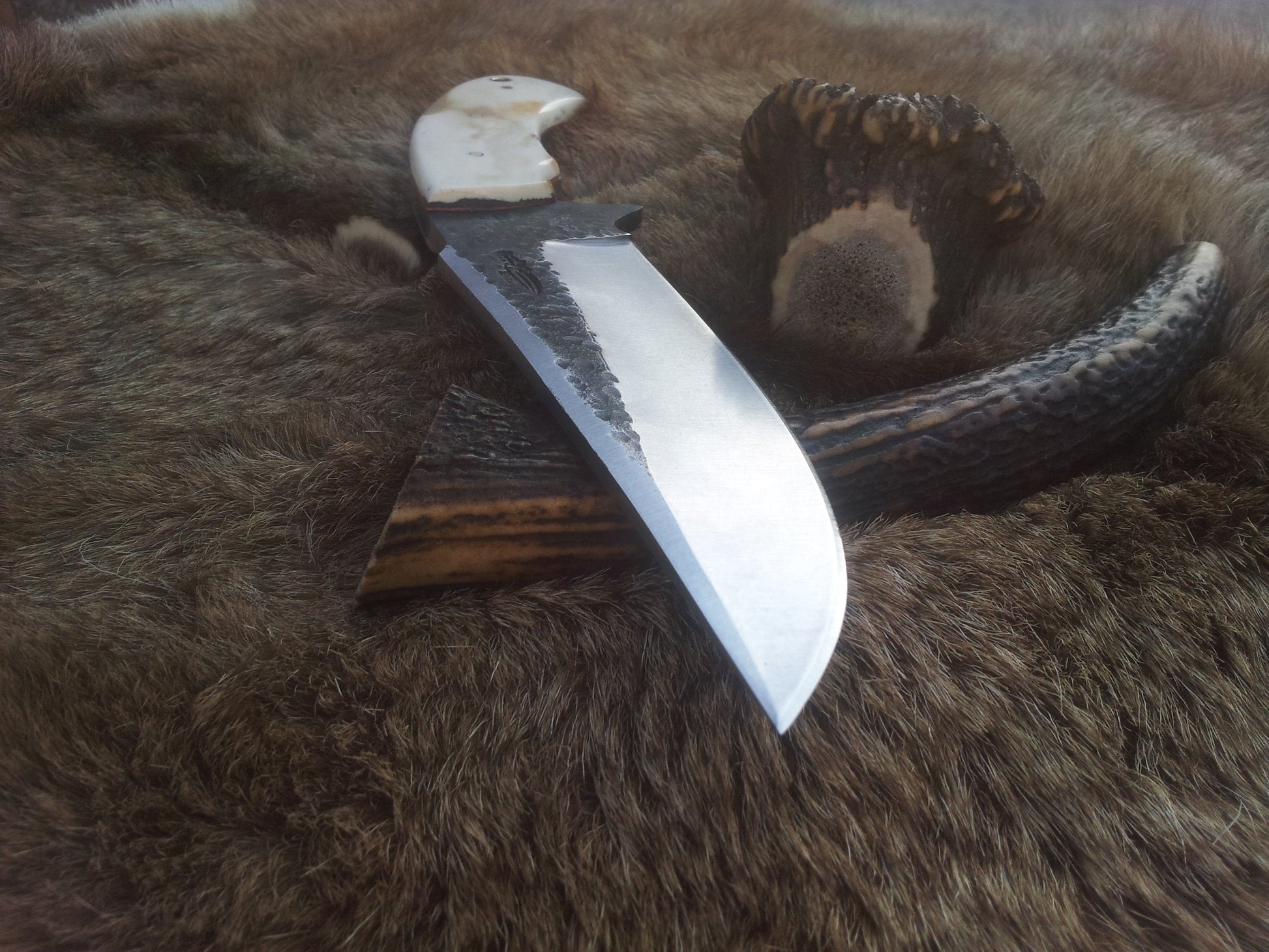 Premium Custom 1095 Hunting Knife | Elegant Camel Bone Handle & Brass Lanyard | 10.5" | Includes Leather Sheath | KBS Knives - Korvel