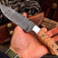 Premium Damascus Steel Hunting Knife with Olive Wood Handle - Korvel