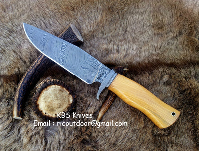 Premium Custom Damascus Hunting Knife | Olivewood Grip & Guard | 12" | Includes Leather Sheath | KBS Knives - Korvel