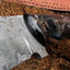 Premium Handcrafted Damascus Steel Skinning Knife - Korvel