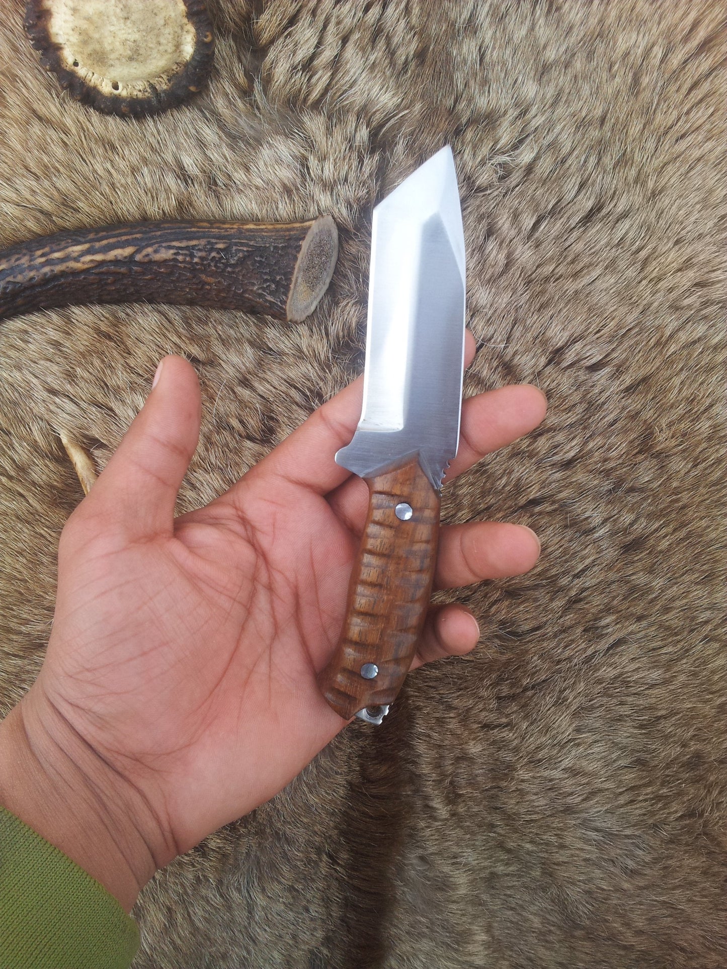 Premium Carbon Steel Tanto Blade Knife - Korvel