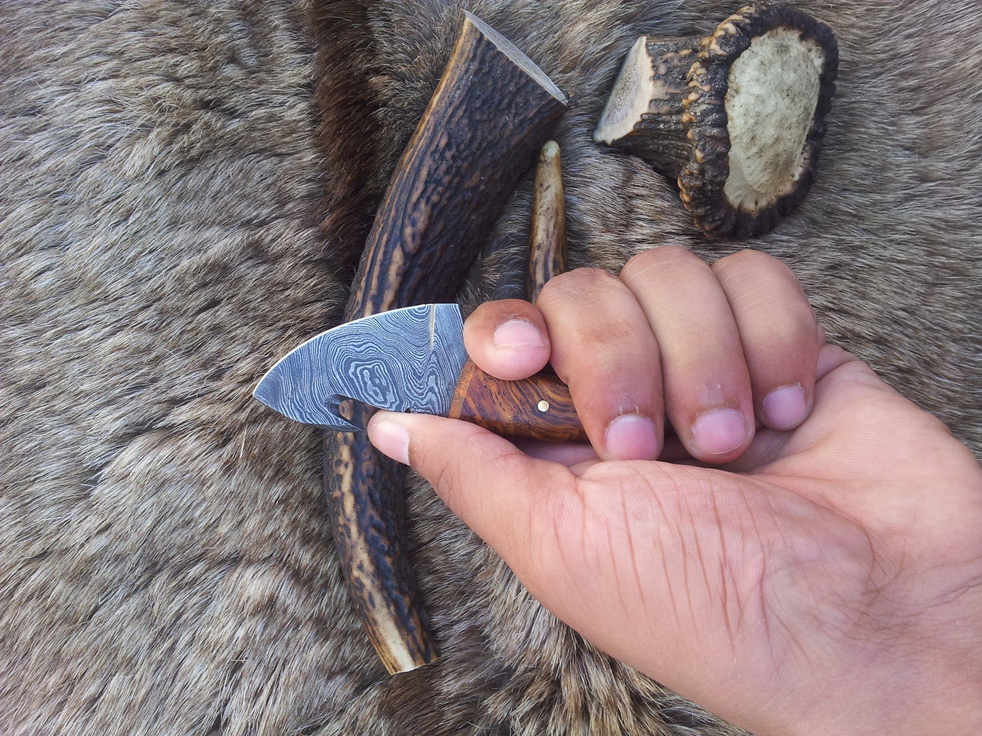 Compact Guthook Knife - Exquisite Damascus Steel & Elegant Rosewood Handle - Korvel