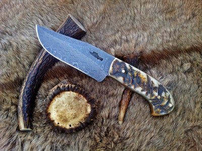 Premium Custom Damascus Hunting Knife | Full Tang Steel with Elegant Sheep Horn Handle | 9.5 Inches | Includes Leather Sheath | KBS Knives - Korvel