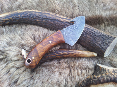Compact Guthook Knife - Exquisite Damascus Steel & Elegant Rosewood Handle - Korvel