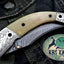 Exquisite Handmade Damascus Steel Folding Knife - Korvel