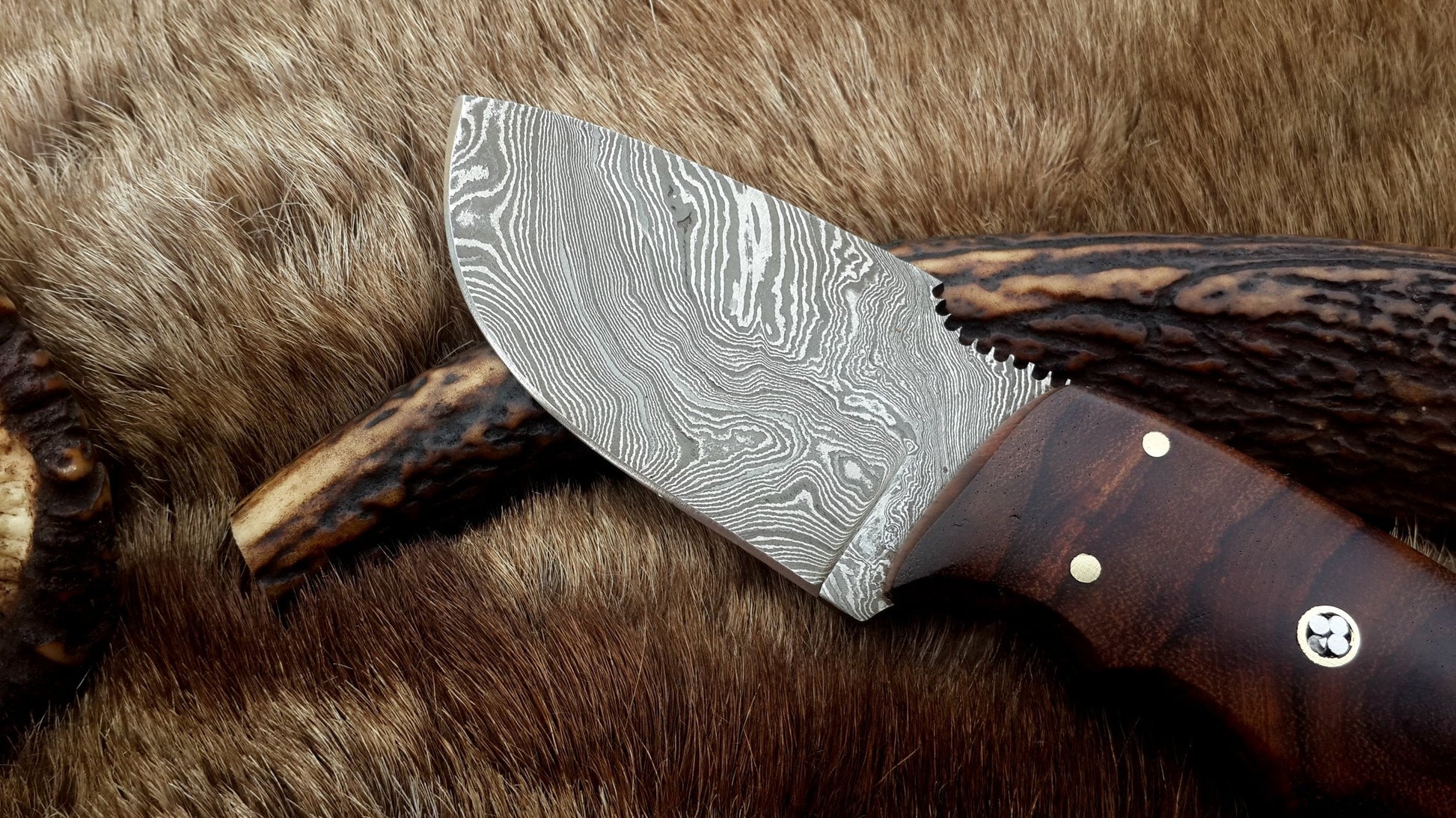 Premium Damascus Steel Skinning Knife with Rosewood Handle - 7.5-inch Precision Tool - Korvel