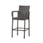 Littleton Barstool - Elegant Brown Design