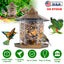 Comedero para Aves Silvestres en Forma de Gazebo Colgante con Gran Capacidad