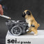 Puppy ashtray creative personality trend anti-fly ash home living room office anti-smoke resin ornaments - Korvel