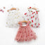 Embroidered Mesh Strapless Fluffy Princess Dress