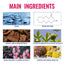 Charm Perfume, Women With Light Fragrance Wrist Neck Legs Lovers Body Fragrance Natural Clear - Korvel