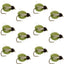 LaFontaine Olive Deep Sparkle Caddis Pupa - 1 Docena de Moscas Tamaño 14