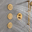 Shower System with Shower Head  Hand Shower Slide Bar Bodysprays, Shower Arm  Hose Valve Trim  and Lever Handles - Korvel