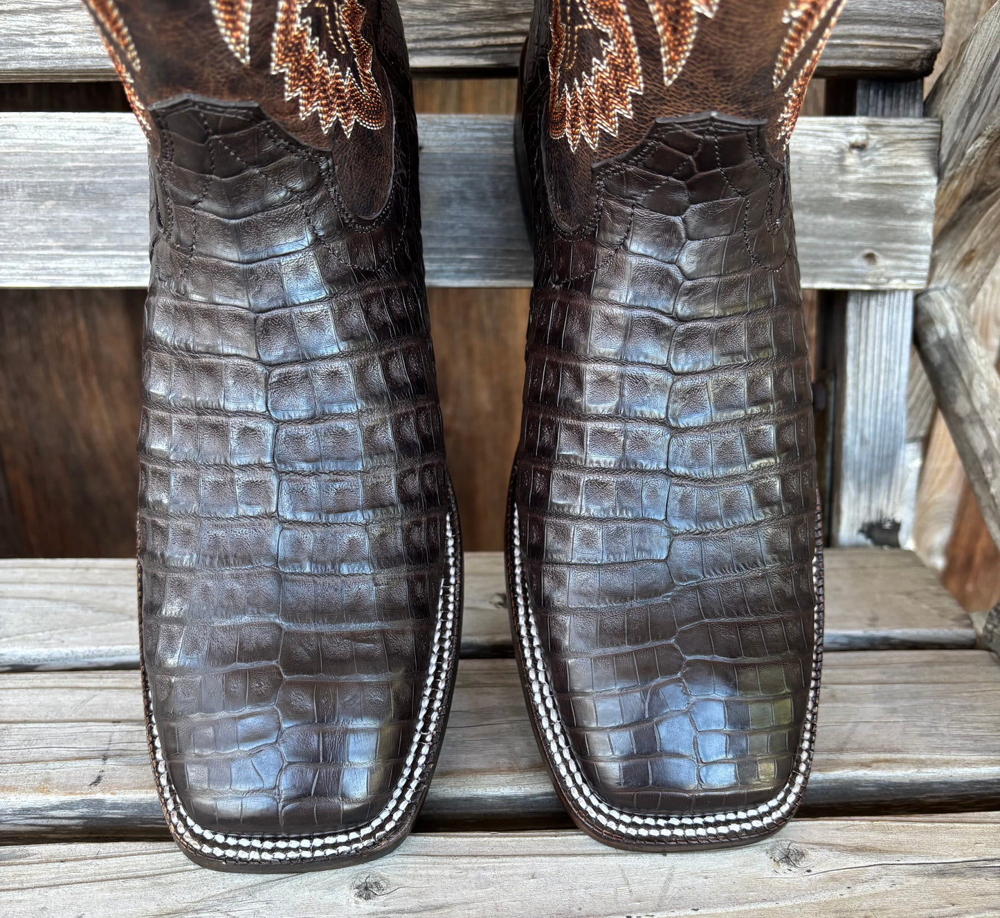 Premium Chocolate Caiman Belly Boots for Men | Ariat - Korvel