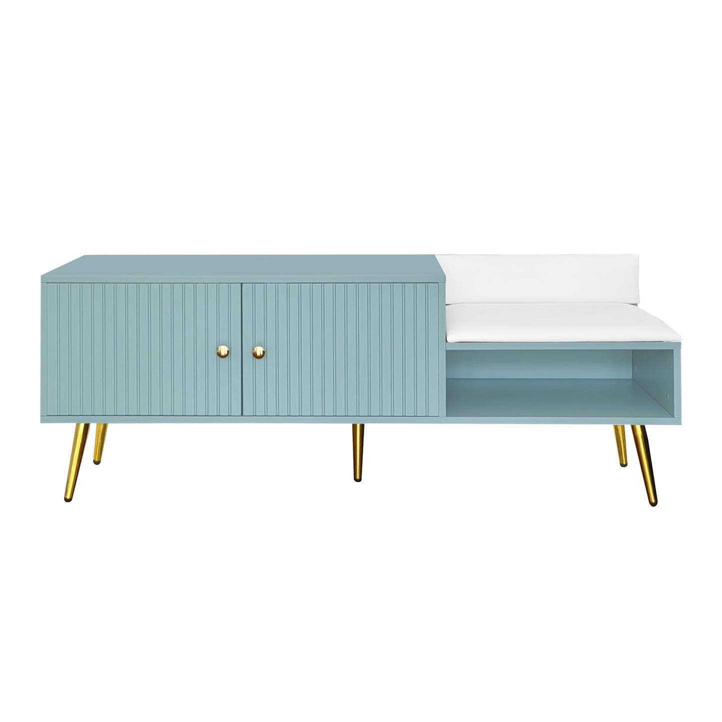 Modern Tiffany Blue Shoe Storage Bench with Cushions
