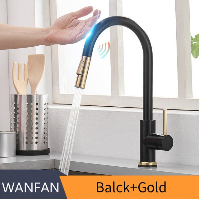 Premium 304 Stainless Steel Kitchen Faucet with Pull-Out Spray