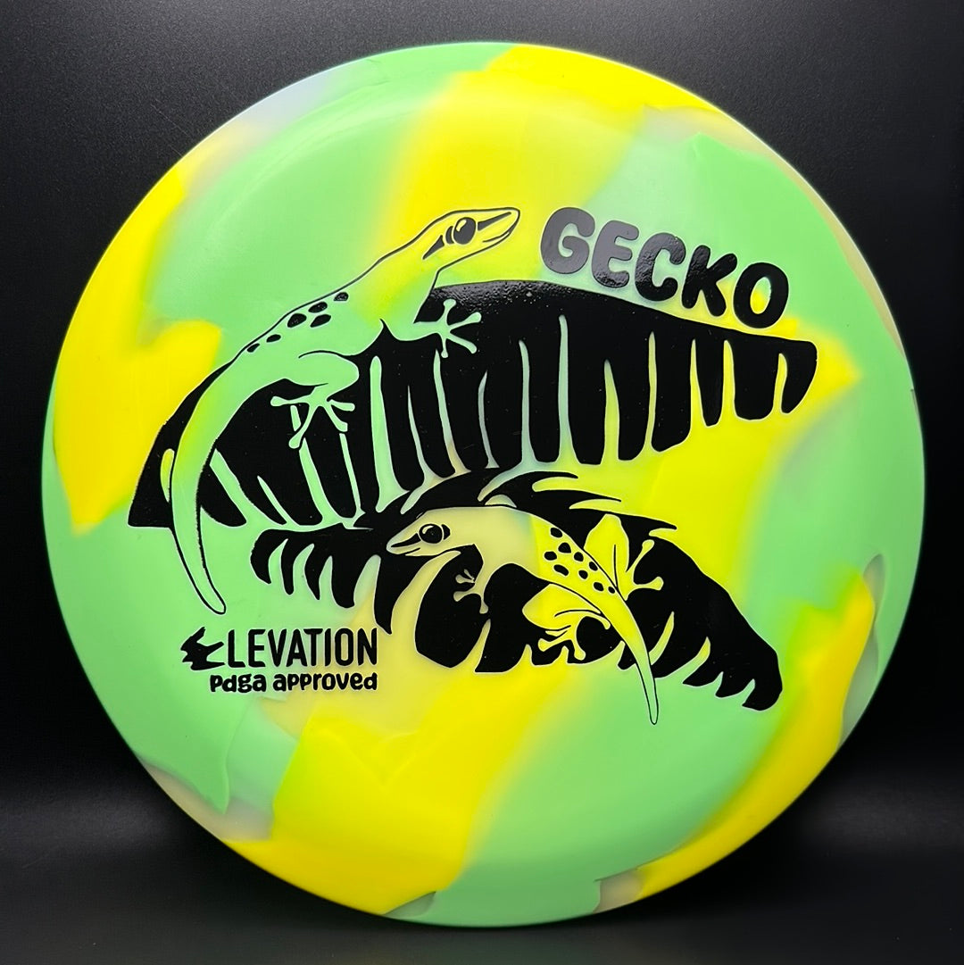Disco de Golf glO-G Gecko