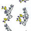 Vibrant Cello Rolls in Various Patterns & Colors