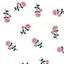 Vibrant Cello Rolls in Various Patterns & Colors