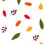 Vibrant Cello Rolls in Various Patterns & Colors