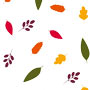 Vibrant Cello Rolls in Various Patterns & Colors