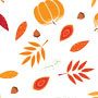 Vibrant Cello Rolls in Various Patterns & Colors