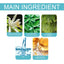 Charm Perfume Release Charm Mild Fresh Light Fragrance Niche Natural Portable Lasting Perfume - Korvel