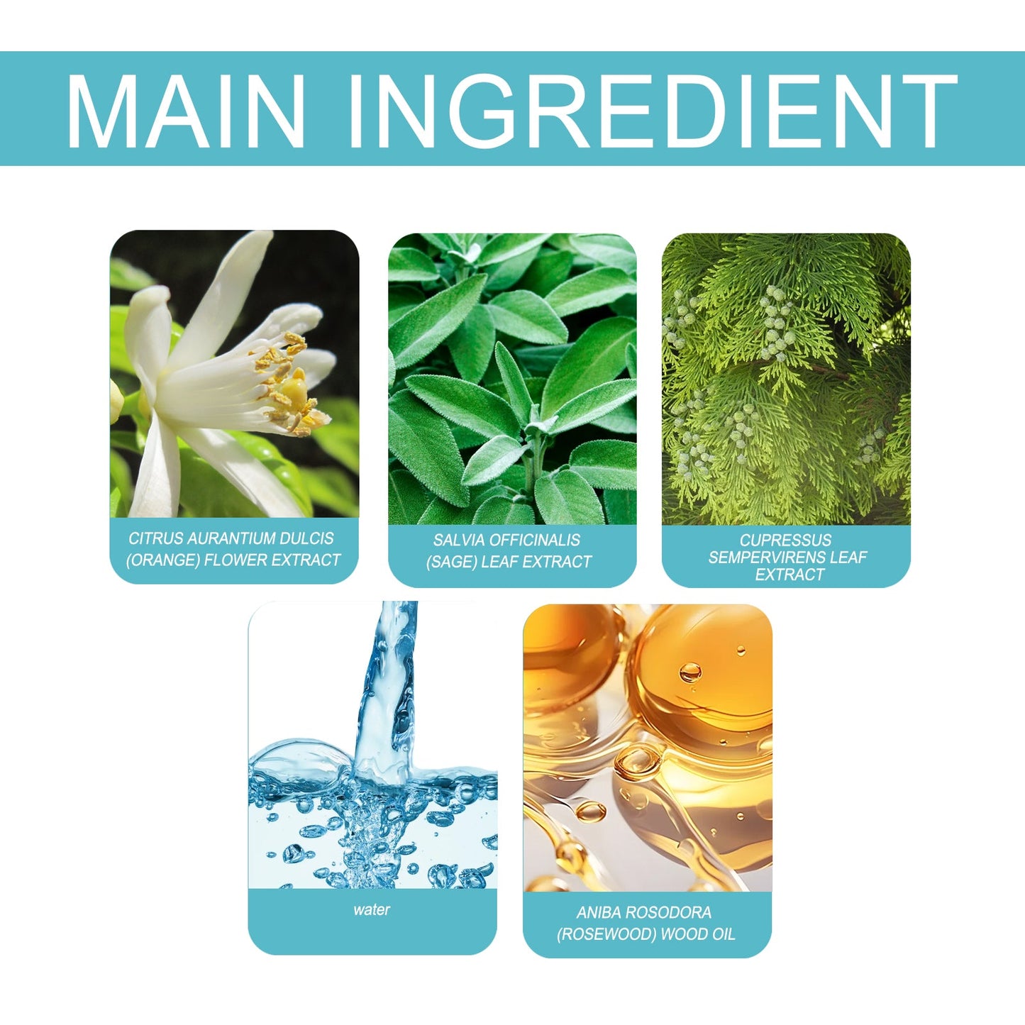 Charm Perfume Release Charm Mild Fresh Light Fragrance Niche Natural Portable Lasting Perfume - Korvel