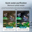 Multifunctional Aquarium Sponge Filter: Water Purifier, Pump, Wave Maker, with Suction Cup & Air Pump - Korvel
