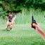 Premium Dog Training Collar with Remote Control