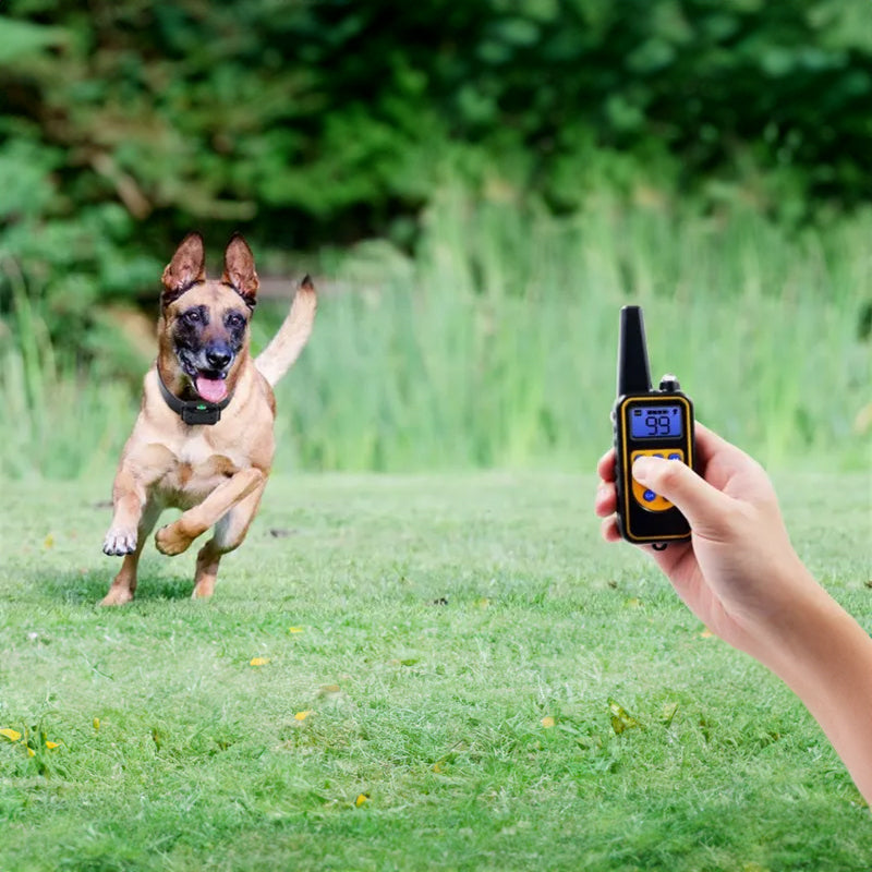 Premium Dog Training Collar with Remote Control