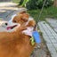 Premium Silicone Dog Poop Bag Holder with Dispenser
