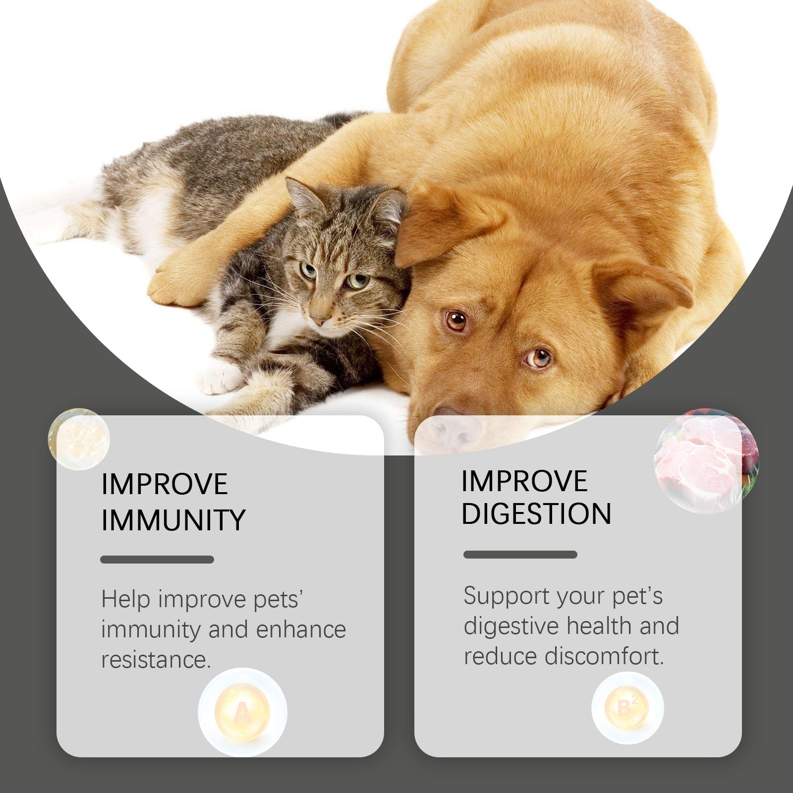 Cats And Dogs General Compound Probiotic Tablets, Pets Absorb Nutrition Supplement Tablets Dog And Cat Nutrition - Korvel