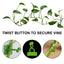 Support mural pour plantes grimpantes - Support auto-adhésif pour vignes
