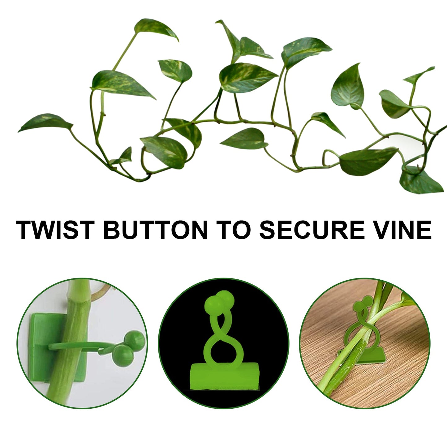 Support mural pour plantes grimpantes - Support auto-adhésif pour vignes