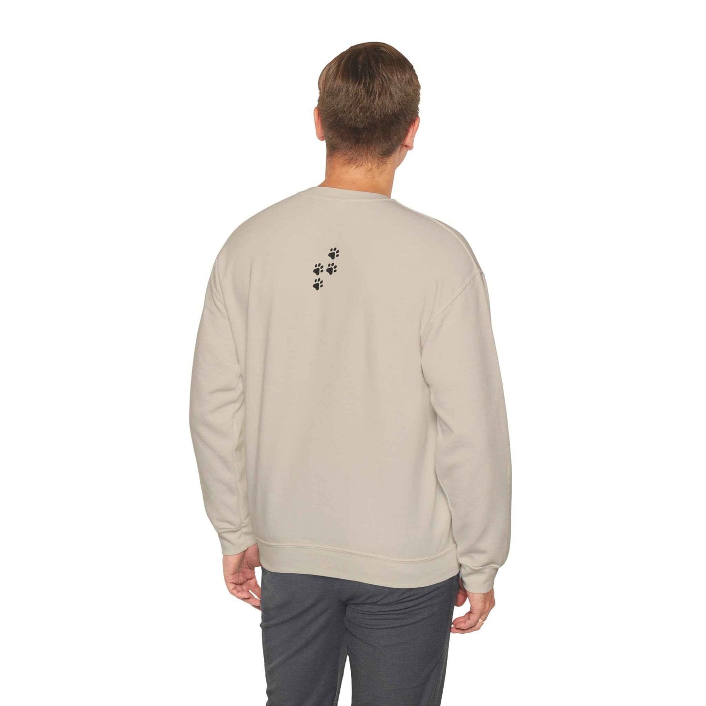 Rendre l'Amérique Purr à Nouveau Sweatshirt Parodique de Chat