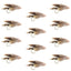 Muddler Minnow Fly Fishing Flies - Premium Streamers for Bass & Trout - 12 Pack Size 8 - Korvel