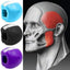Face Fitness Ball & Facial Toner Exerciser Facial Muscle Training Silicone Face-lift Masseter - Korvel