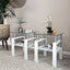 Set of 2 Modern Tempered Glass Coffee Tables