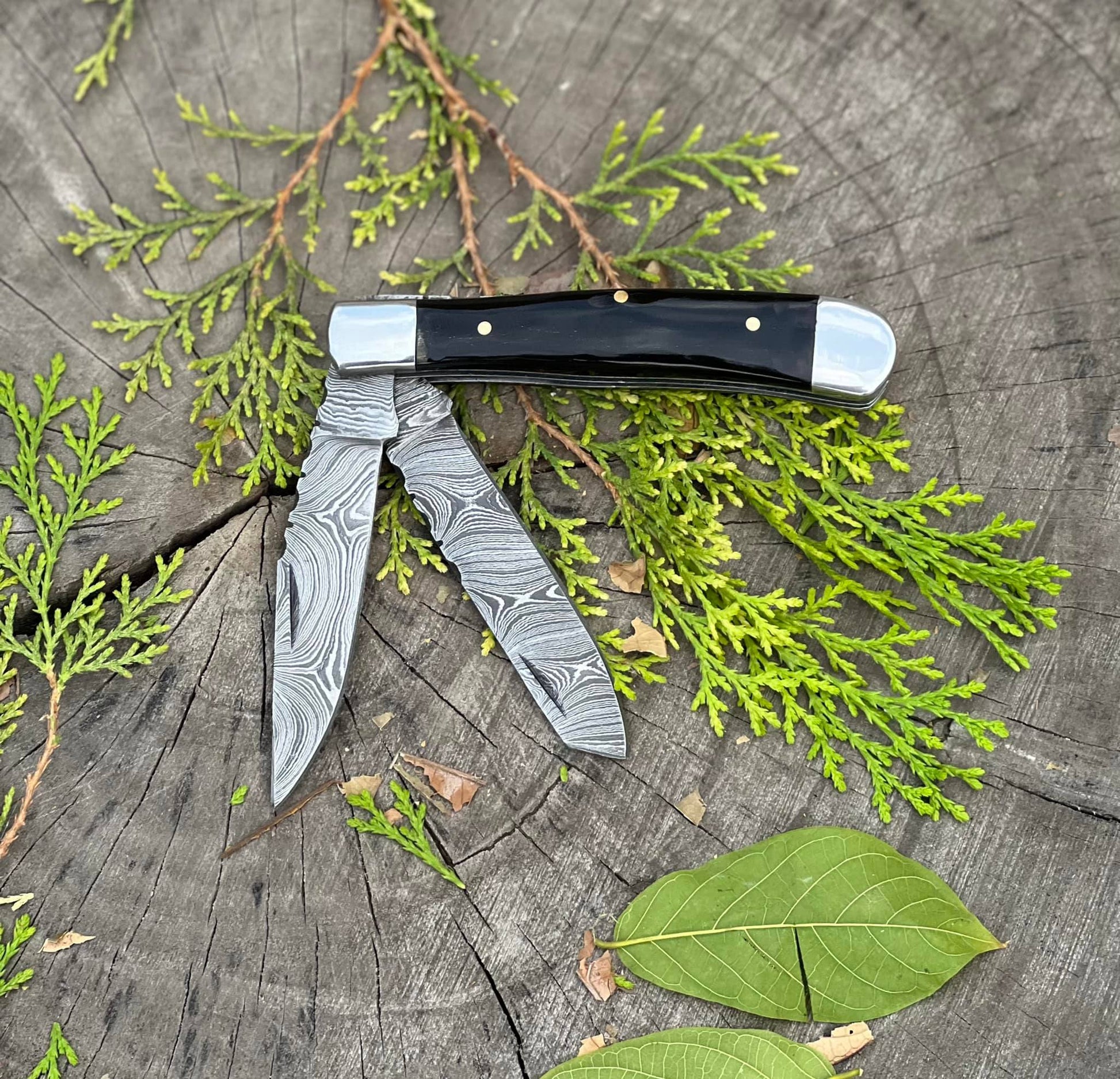 Custom Damascus Trapper Folding Pocket Knife with Buffalo Horn Handle - 3.2" Blade - Korvel