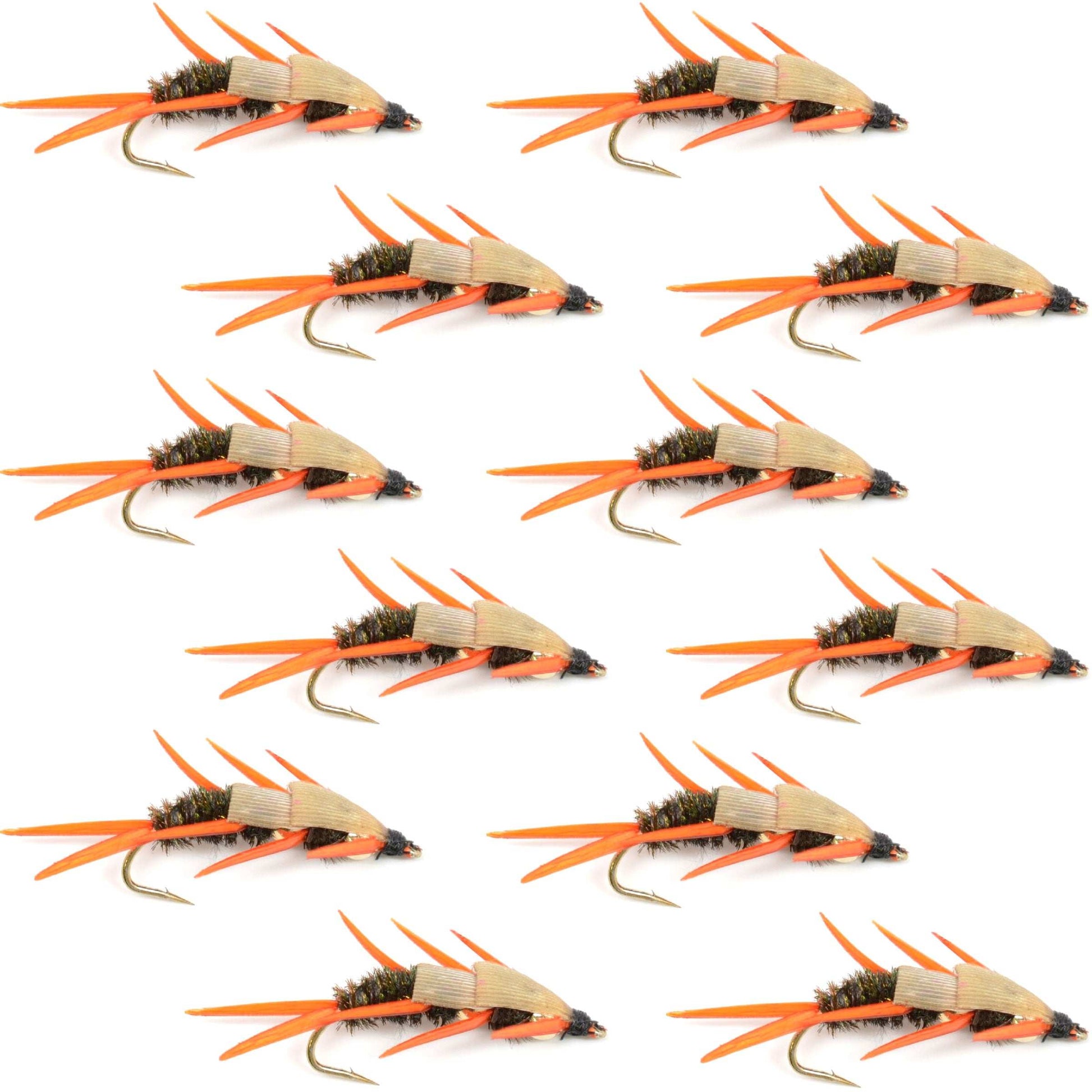 Premium Double Bead Peacock Stonefly Nymphs - 12 Pack Size 10 - Korvel