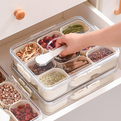 Design Sealed Snackle Storage Box With 9pcs Divider Plastic Divided Veggie Tray With Lid And Handle - Korvel