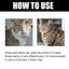 Cat Ringworm Spray, Pet Cats Anti-Mite Cat Moss Care Skin External Use Anti-Itch Spray - Korvel