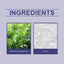 Paquete de Baño de Pies Herbal con Extracto de Ajenjo